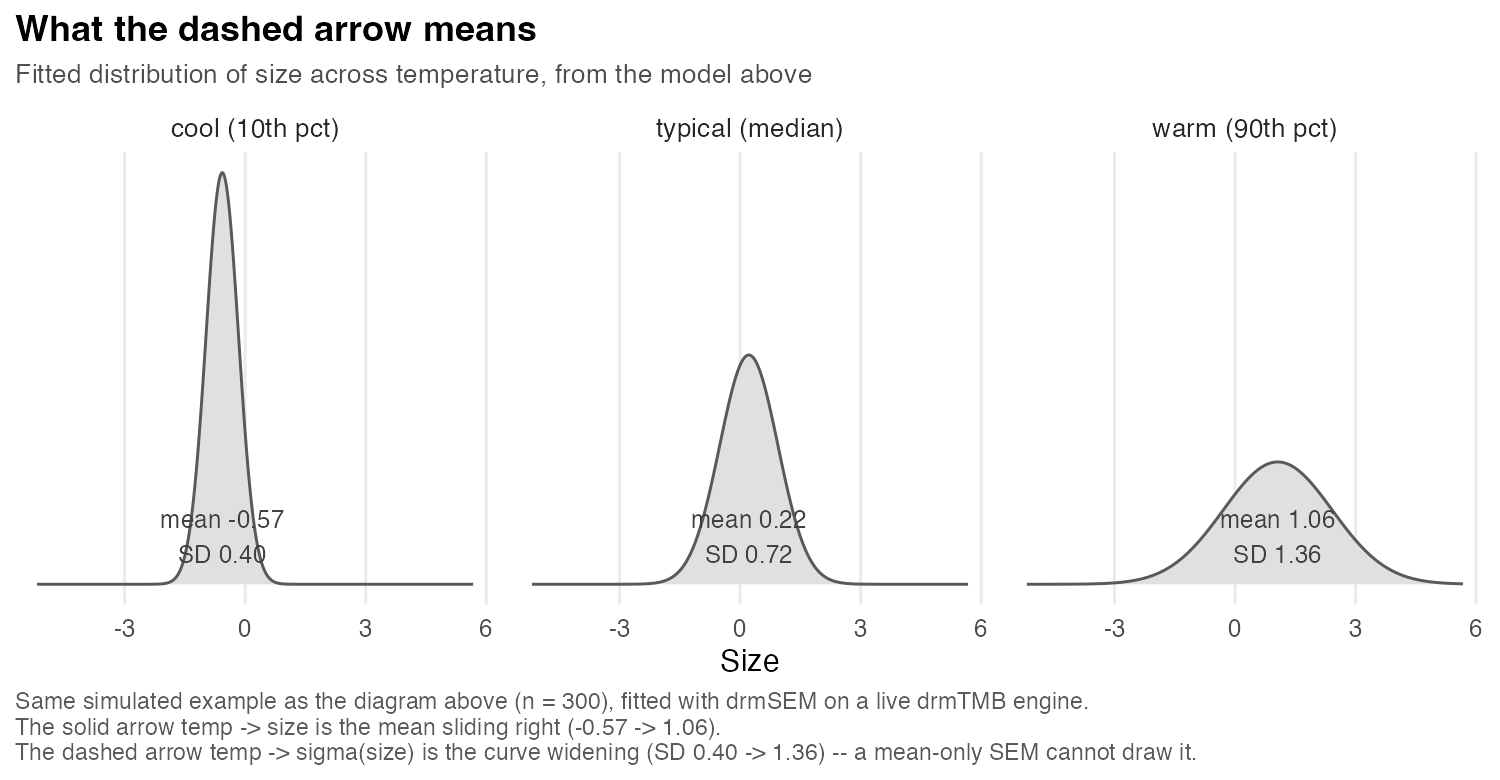 The fitted distribution of size at cool, typical and warm temperatures, drawn as three curves that both slide to the right and grow visibly wider, annotated with a mean rising from -0.57 to 1.06 and a standard deviation rising from 0.40 to 1.36.