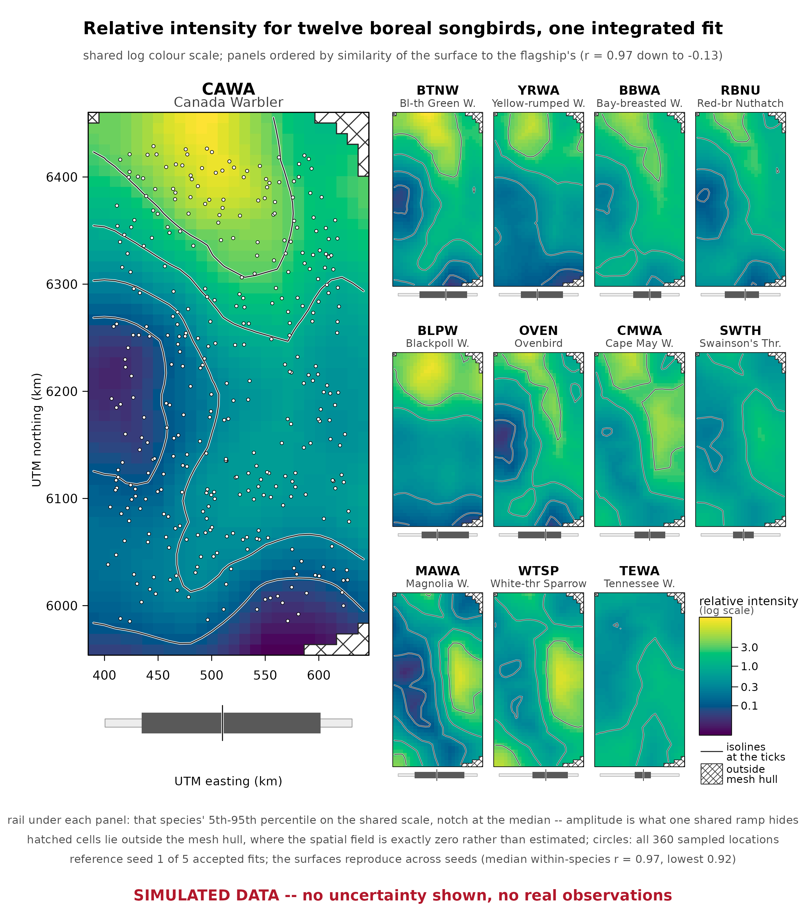 A large map panel for Canada Warbler beside a four-by-three grid of eleven smaller maps, one per species, all on a shared viridis colour scale for relative intensity on a log scale. The flagship panel carries UTM easting and northing axes in kilometres, white isolines, and small white circles marking all 360 sampled locations. The broad pattern is a bright high-intensity region in the north and a dark low-intensity region in the south-west. The eleven thumbnails show the same landscape expressed through different loadings, running from surfaces closely resembling the flagship to one close to its inverse. A short horizontal rail under each panel marks that species' fifth to ninety-fifth percentile with a notch at the median. A few cross-hatched cells sit in the corners, outside the mesh hull. Red text at the foot reads SIMULATED DATA, no uncertainty shown, no real observations.