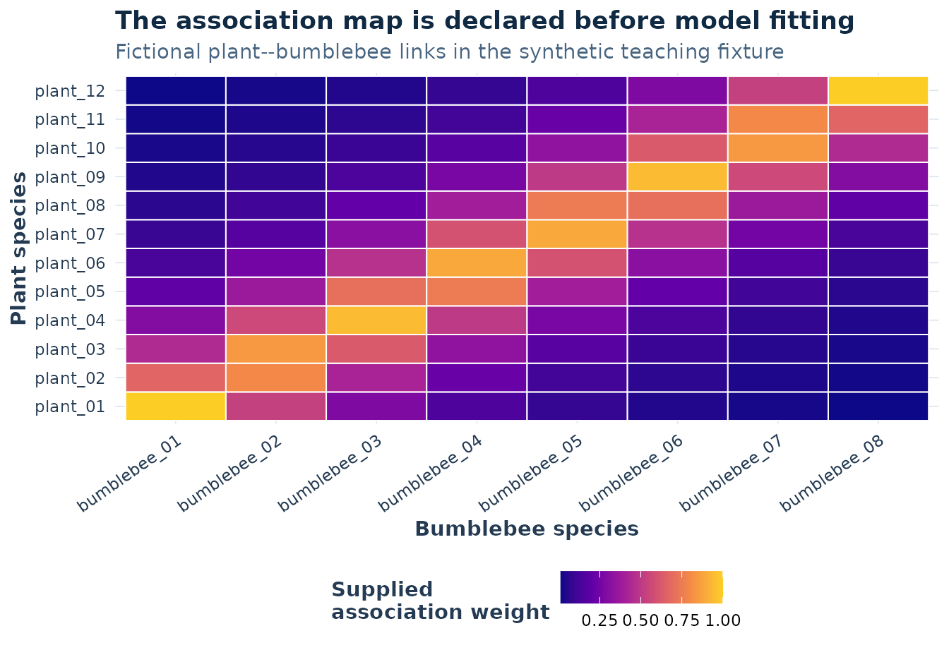 A 12 by 8 heatmap of simulated association weights between fictional plant and bumblebee species. Strong values lie near a diagonal band, with weaker values away from it.