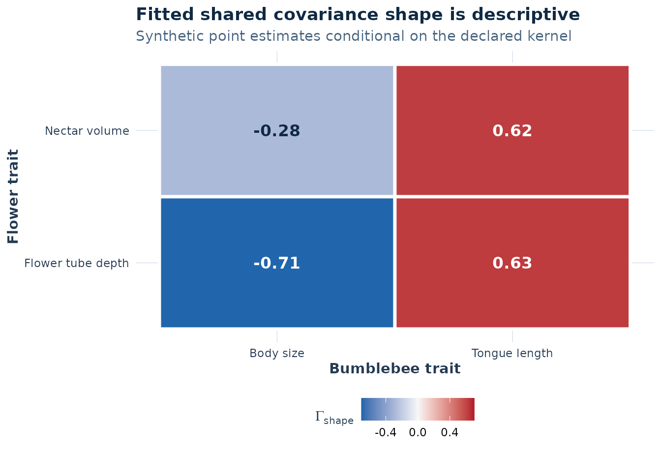 A two by two diverging-colour heatmap of fitted shared covariance shape. Flower tube depth is positive with tongue length and negative with body size; nectar volume is positive with tongue length and negative with body size.