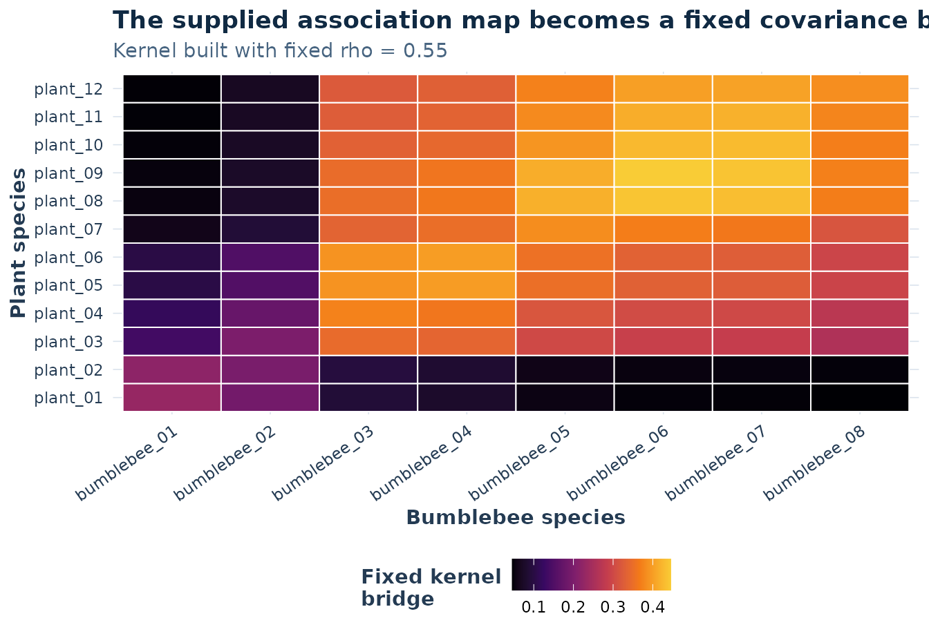A 12 by 8 heatmap of positive kernel bridge values between fictional plant and bumblebee species, with a band of strongest values.