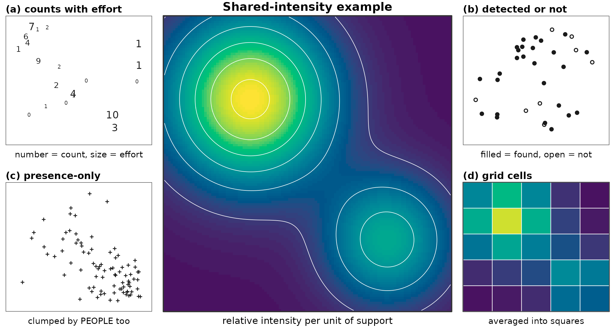 A five-panel figure. The large central panel is a smooth relative-intensity surface on a viridis scale with white contour lines, showing a large bright peak in the upper left and a smaller peak in the lower right against a dark background. Four smaller white panels flank it. Panel a shows random counts as printed numbers, with larger counts more common in the upper-left region and text size showing effort. Panel b shows one random binary draw per site as circles, mostly filled in the upper left but with both outcomes possible across the surface. Panel c shows presence-only records as plus signs forming two clumps, one on the upper-left ecological peak and a denser one in the accessible lower-right corner. Panel d shows a five-by-five grid of coloured squares on the same scale as the central panel, with the peak reduced to a single mid-bright square.