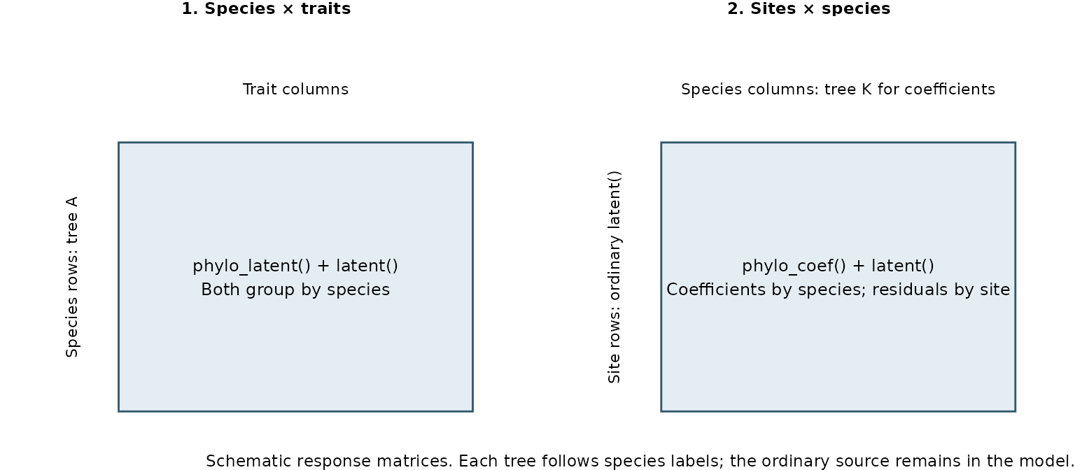 Two response matrices place the tree on species rows for morphology and species coefficient columns for communities. Both retain an ordinary covariance source.