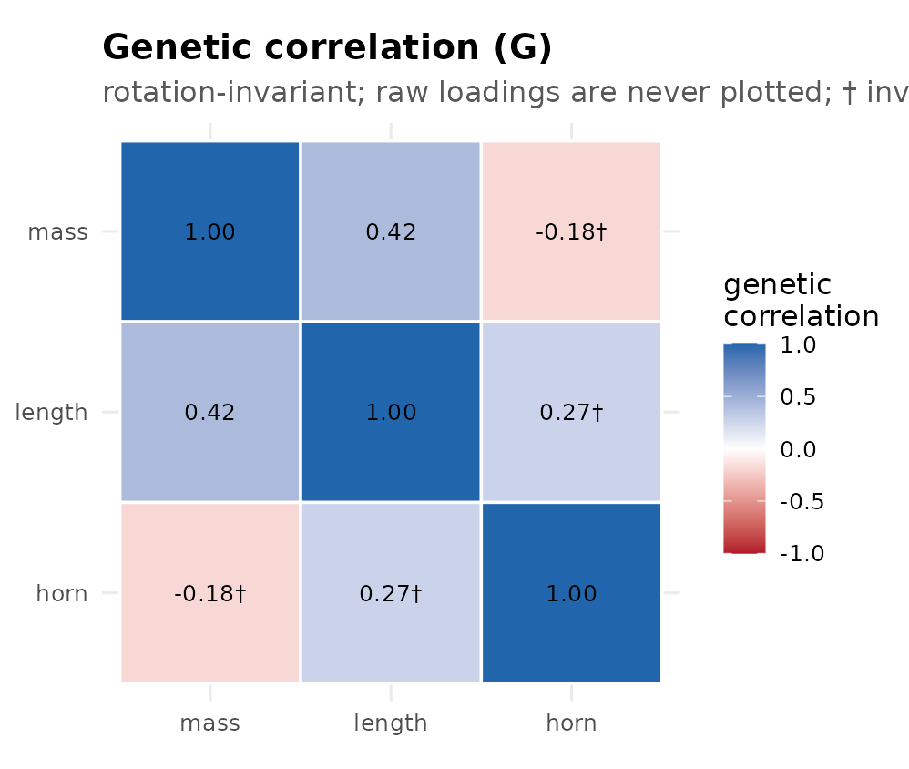Correlation heatmap of three traits with numeric cell labels. Off-diagonal cells involving the low-heritability horn trait are marked imprecise. Experimental opt-in multivariate; not a production multi-trait claim.