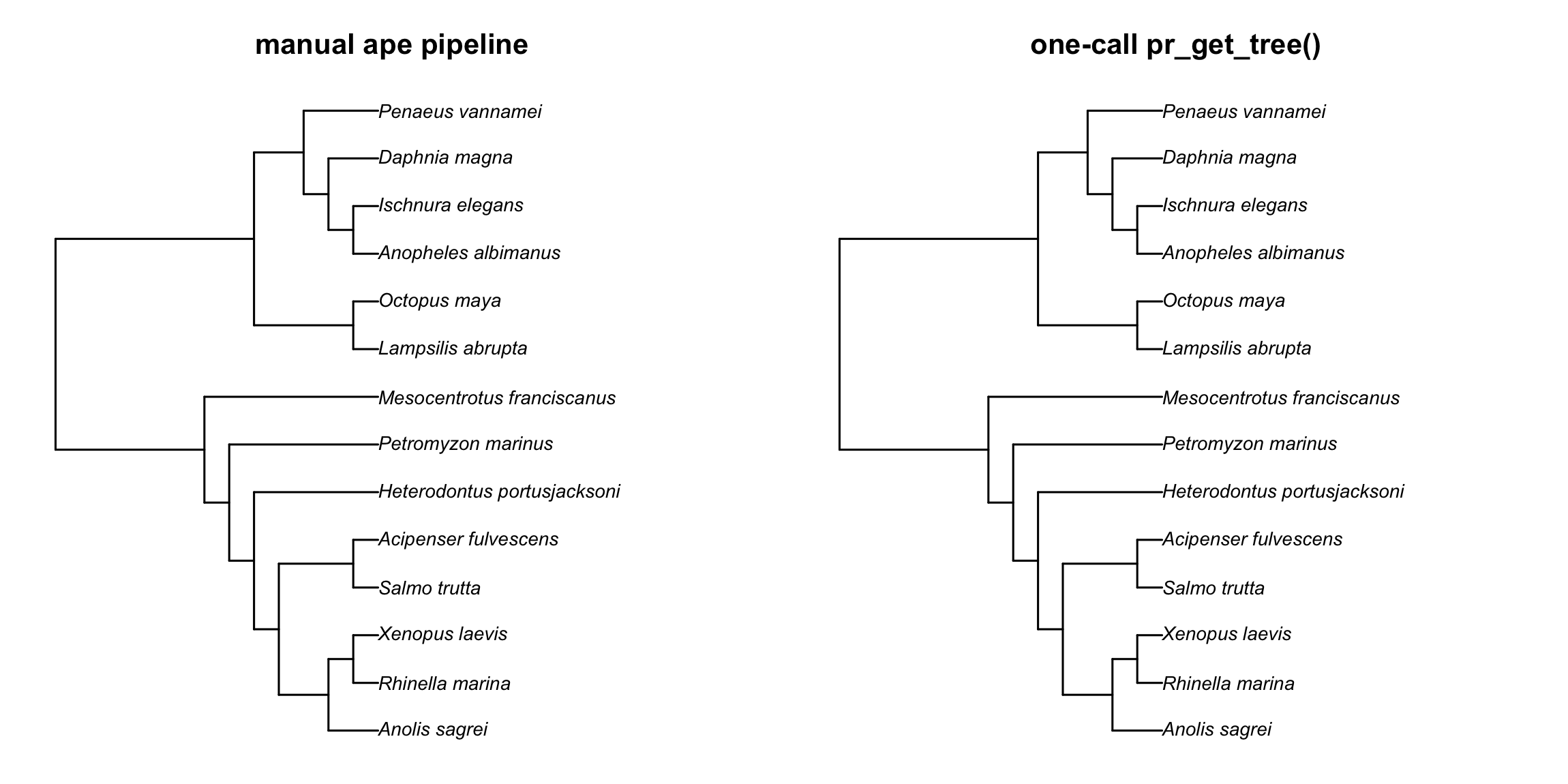 The manual ape pipeline (left) and the one-call pr_get_tree() (right) produce the same tree — same topology, same Grafen branch lengths.